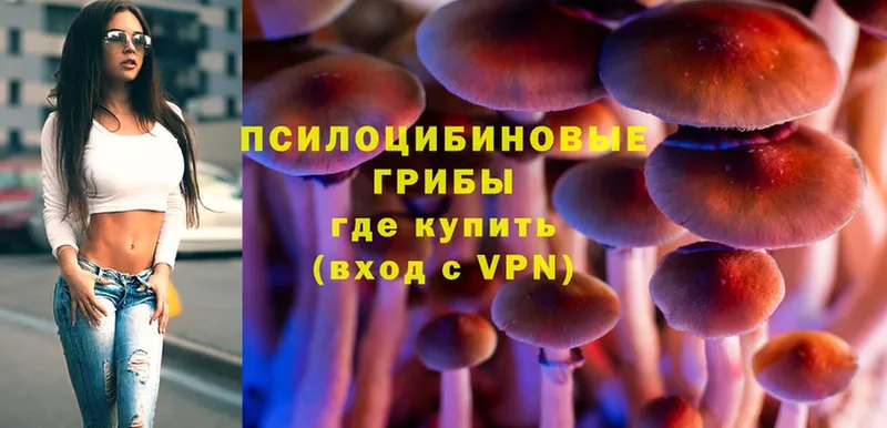 Галлюциногенные грибы Psilocybe Северодвинск